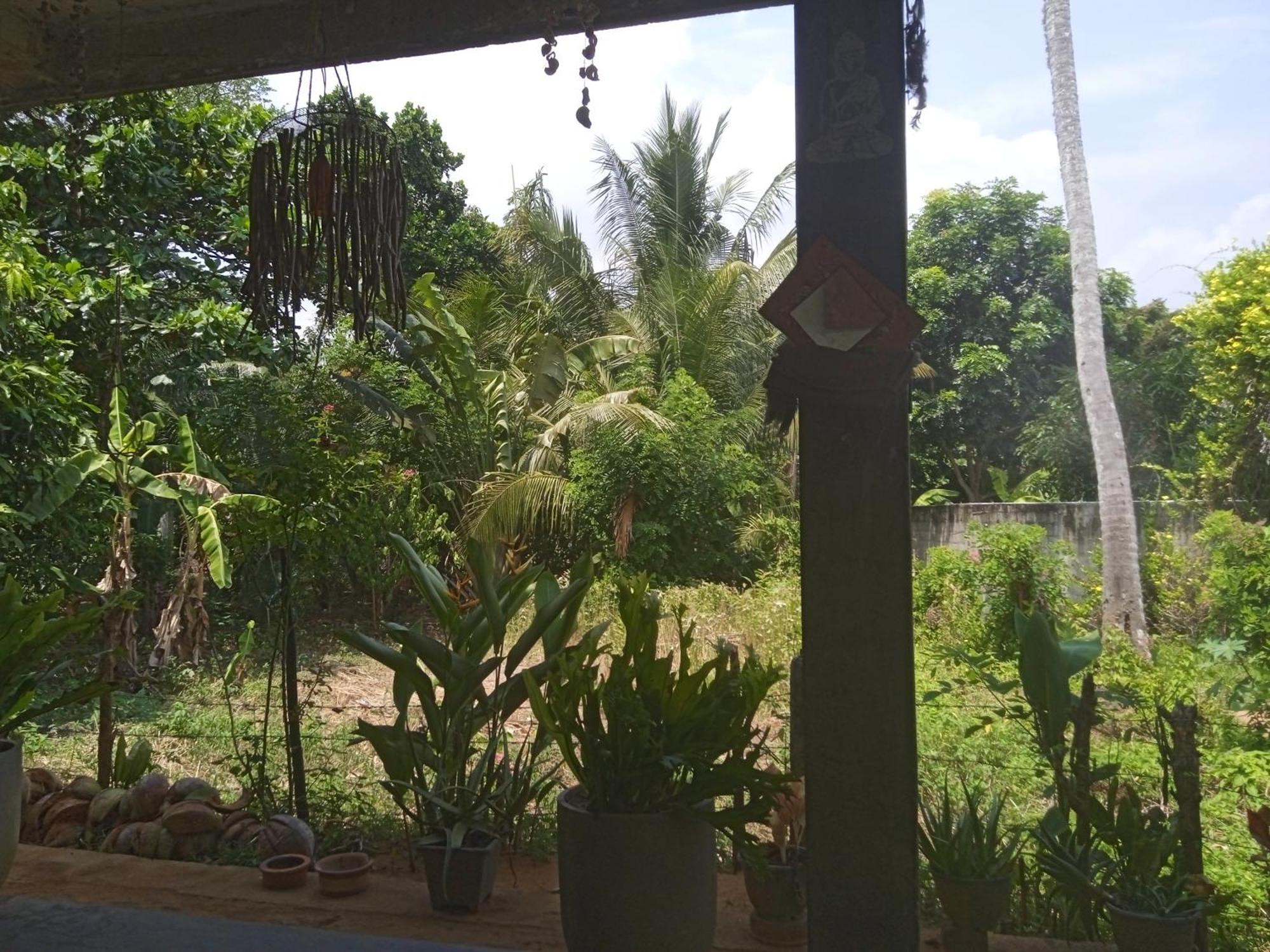 Julianu Hotel แทนกาลเล ภายนอก รูปภาพ