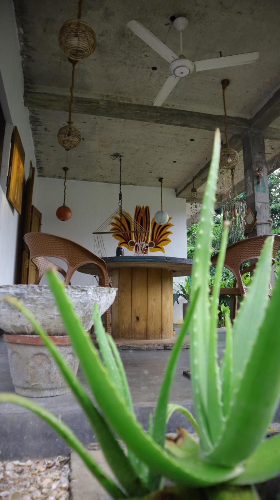 Julianu Hotel แทนกาลเล ภายนอก รูปภาพ