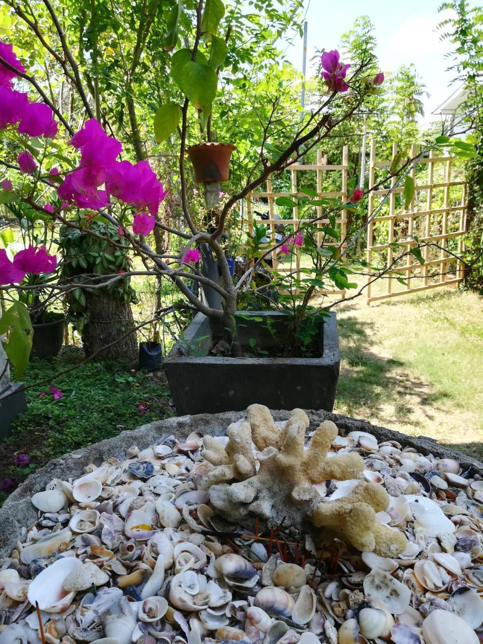 Julianu Hotel แทนกาลเล ภายนอก รูปภาพ