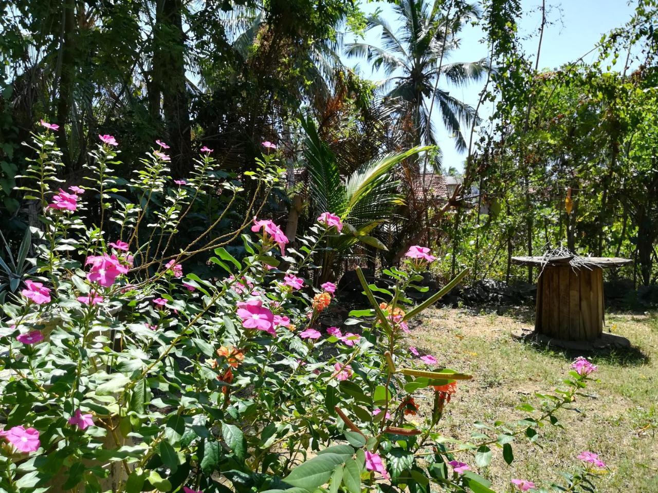 Julianu Hotel แทนกาลเล ภายนอก รูปภาพ